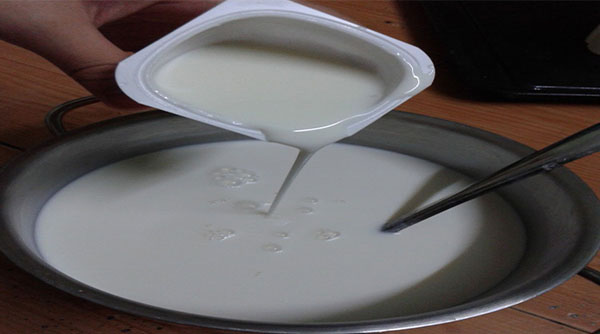 Cách làm sữa chua dẻo - cho bột rau câu và sữa chua vào